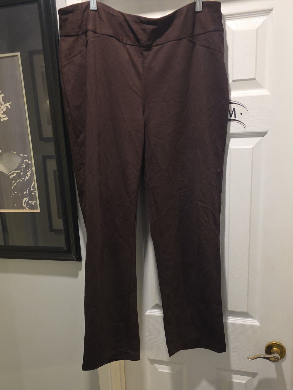 Charter Club Dark Brown Pants